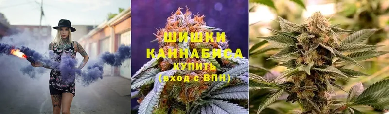 дарнет шоп  Дмитриев  Бошки марихуана индика 